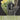 #couleur_ribbon-green-white