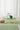 #couleur_spring-green